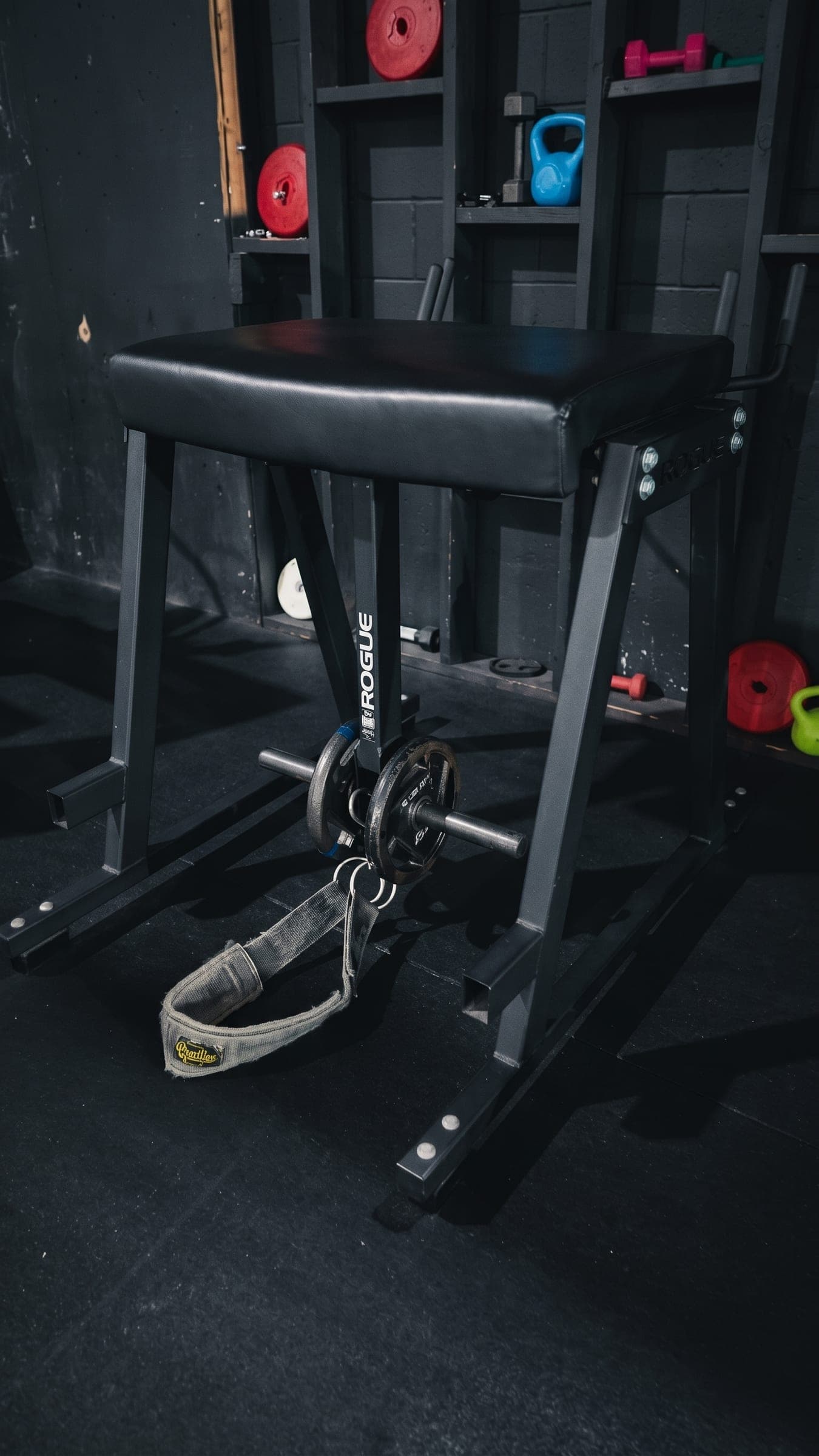 Reverse hyper and specialty strength equipment at Atlas Fitness in Torrington, CT